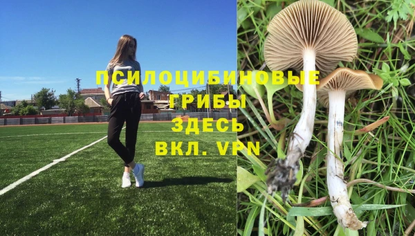 трава Алексеевка