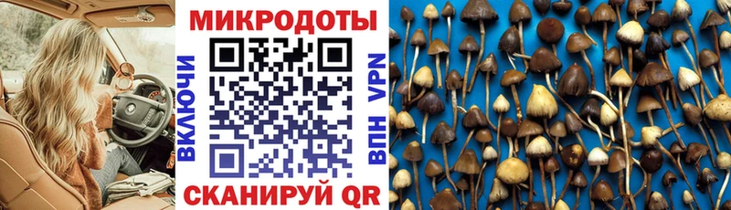 omg онион купить Туран Галлюциногенные грибы мухоморы